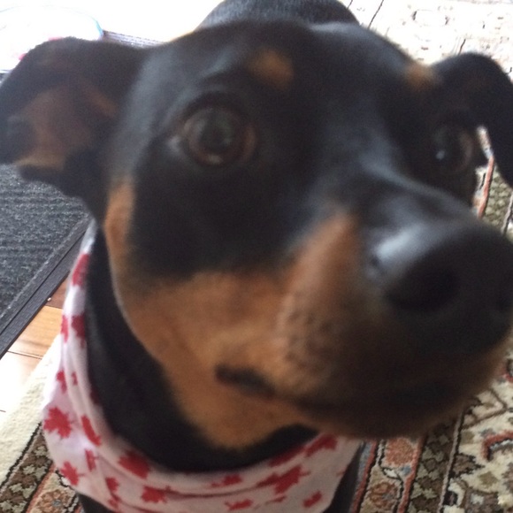 Meet your Posher, Jayne - Picture 3 of 3